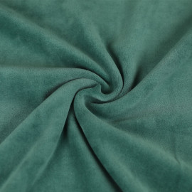 Tissu nicky jersey velours uni - vert clair