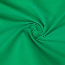 Tissu maillot de bain homme - vert iguane